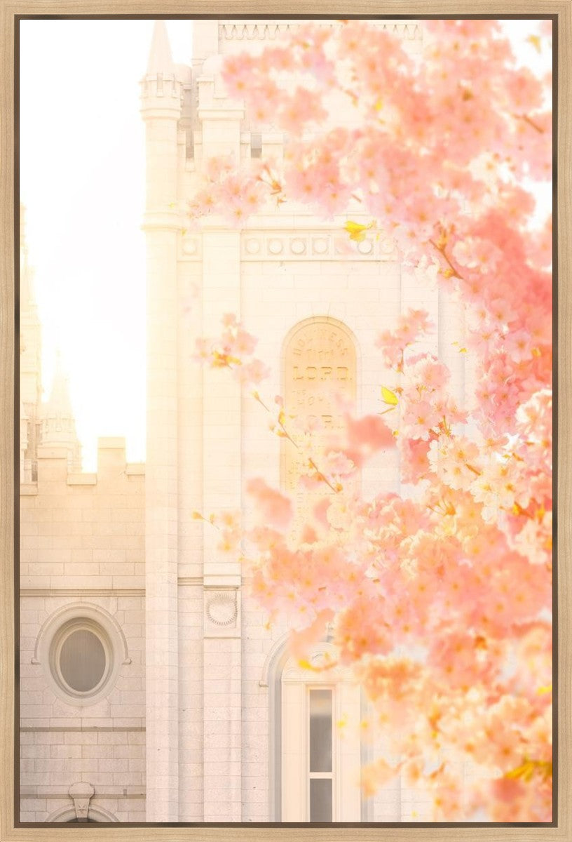 Salt Lake Blossom Glow Gallery Wrap