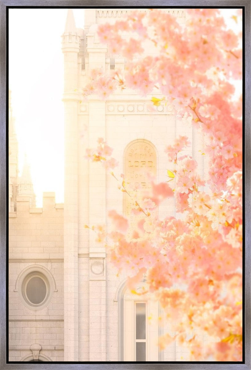 Salt Lake Blossom Glow Gallery Wrap