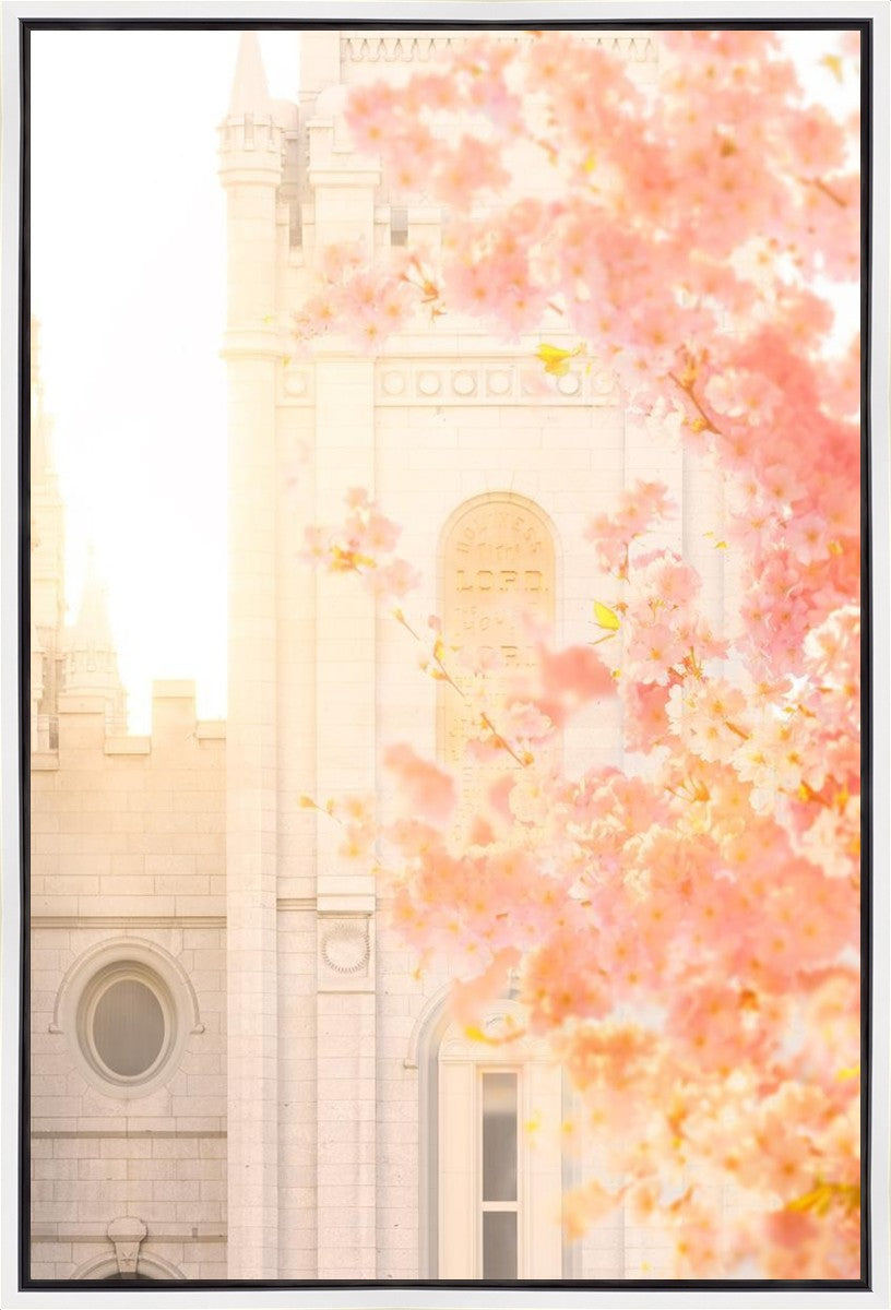 Salt Lake Blossom Glow Gallery Wrap