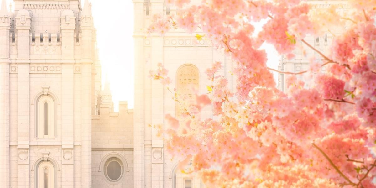 Salt Lake Blossom Glow Gallery Wrap