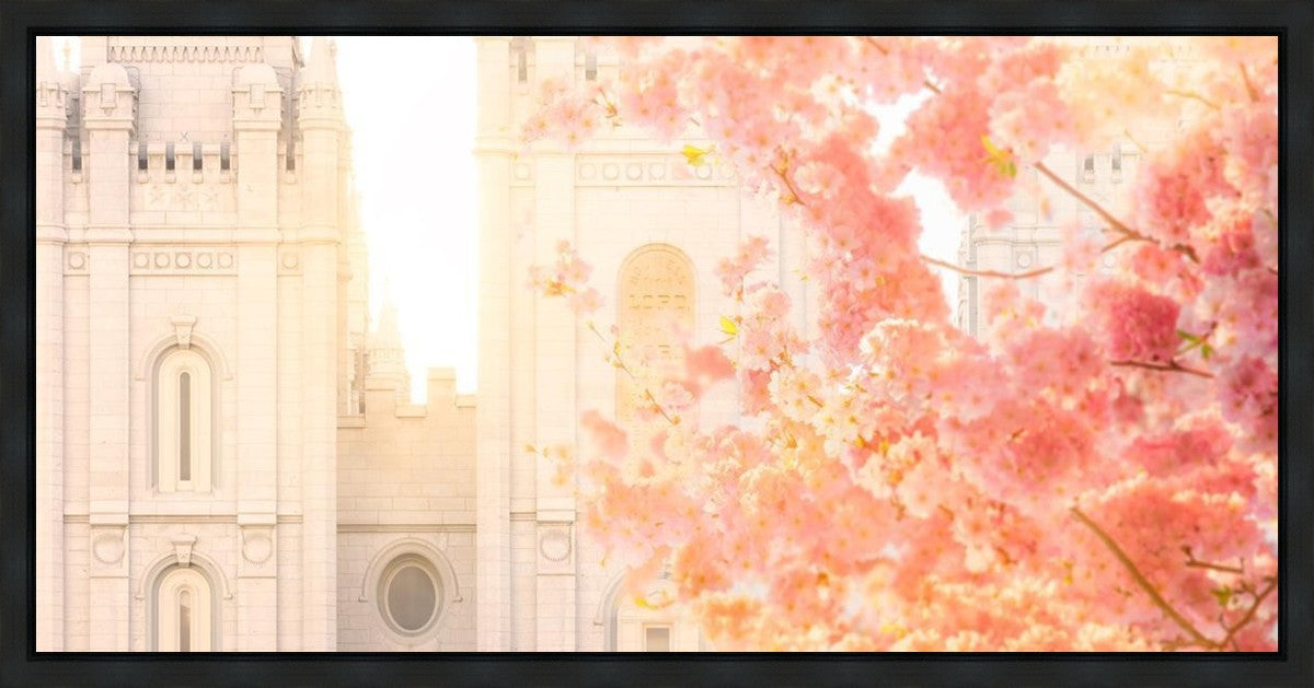Salt Lake Blossom Glow Gallery Wrap
