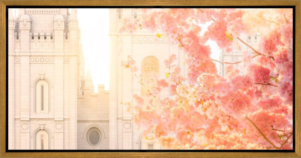 Salt Lake Blossom Glow Gallery Wrap