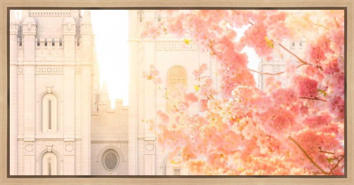 Salt Lake Blossom Glow Gallery Wrap