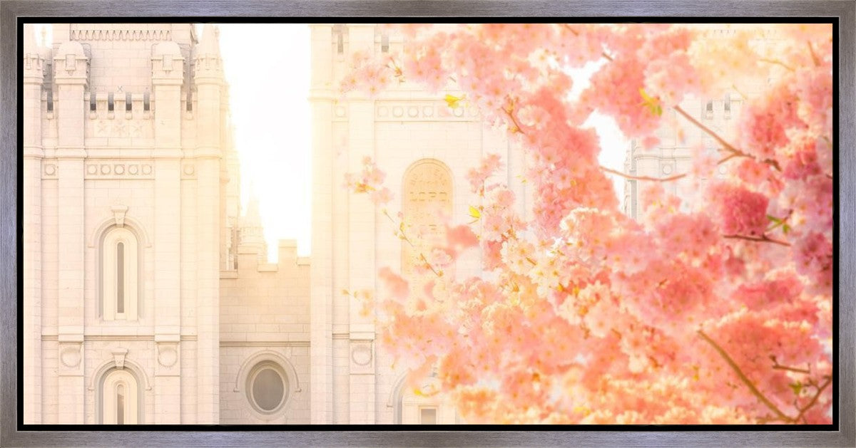 Salt Lake Blossom Glow Gallery Wrap
