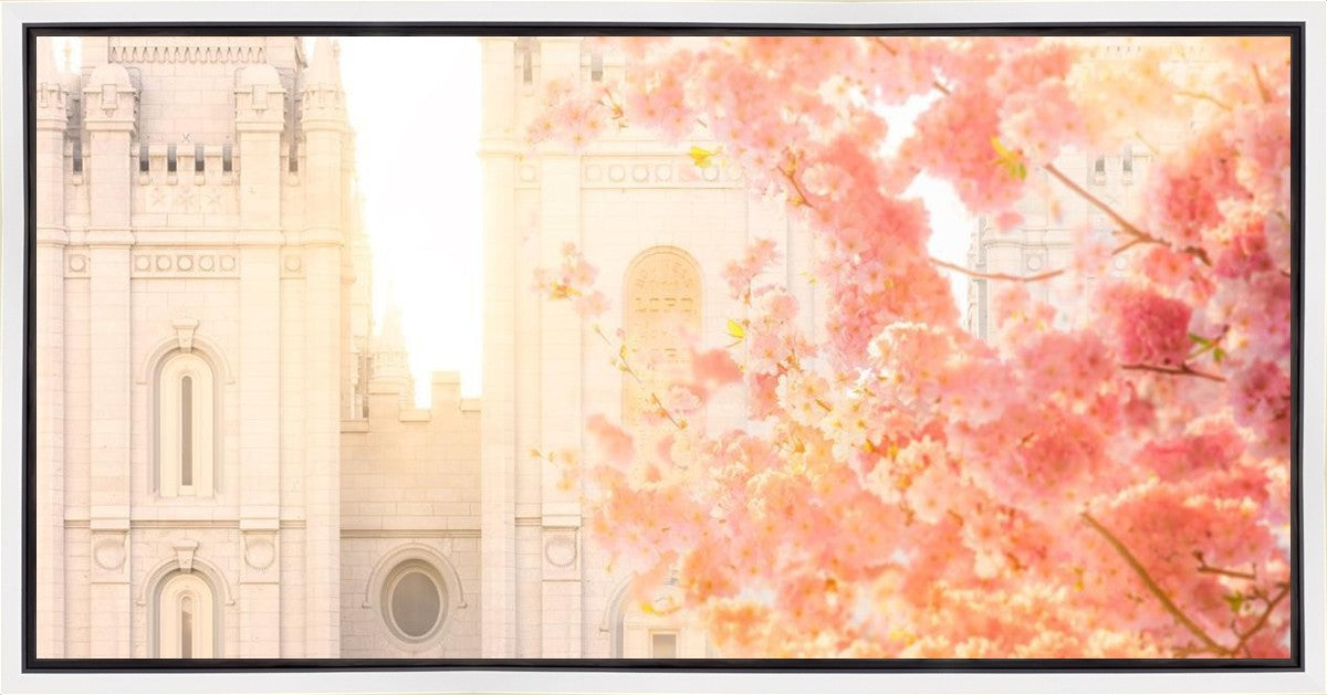 Salt Lake Blossom Glow Gallery Wrap