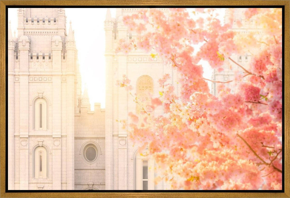 Salt Lake Blossom Glow Gallery Wrap