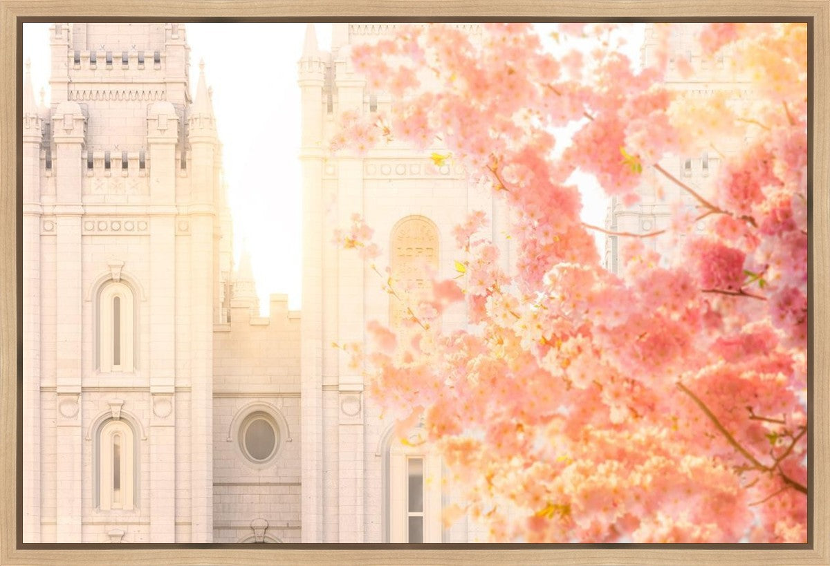 Salt Lake Blossom Glow Gallery Wrap