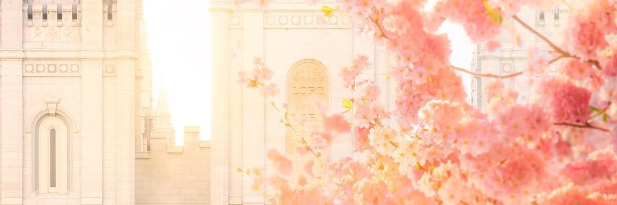 Salt Lake Blossom Glow Gallery Wrap