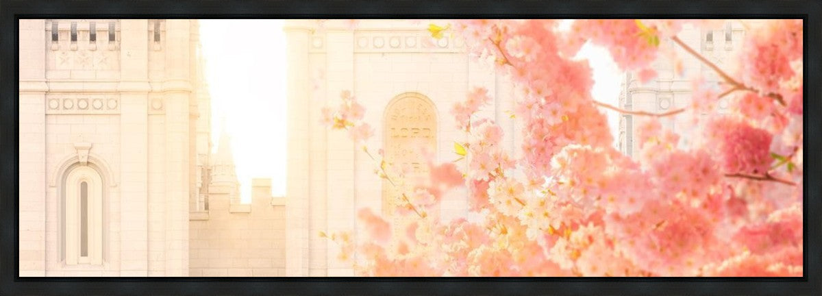 Salt Lake Blossom Glow Gallery Wrap
