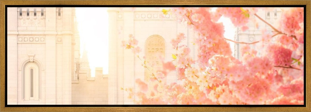Salt Lake Blossom Glow Gallery Wrap