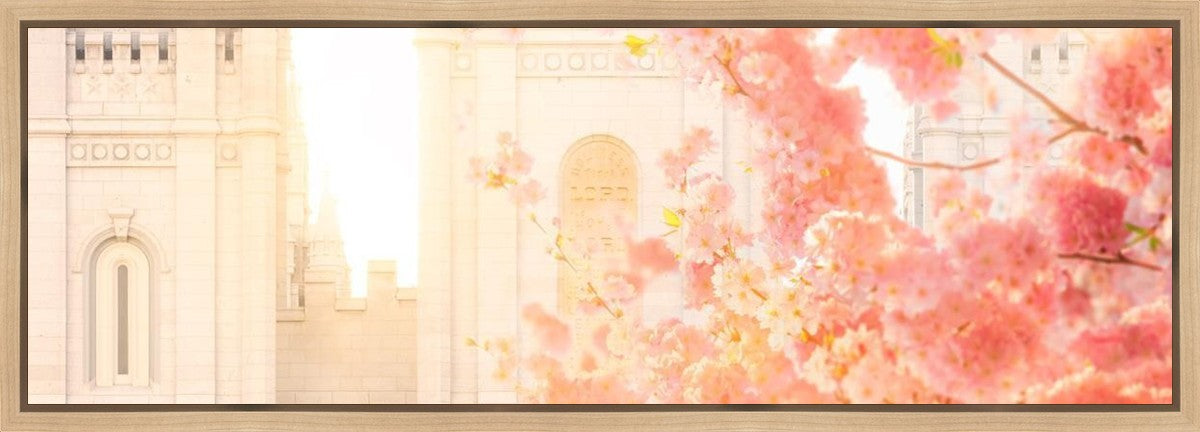 Salt Lake Blossom Glow Gallery Wrap