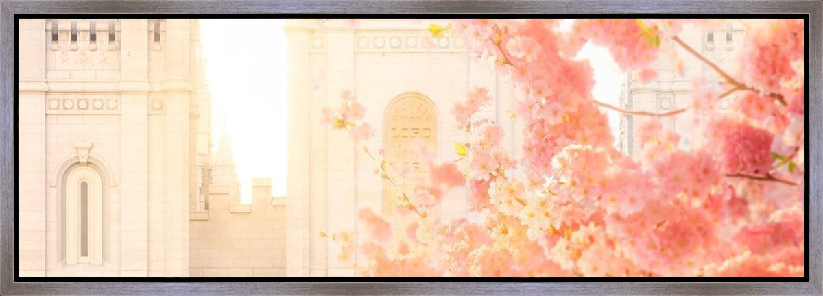 Salt Lake Blossom Glow Gallery Wrap