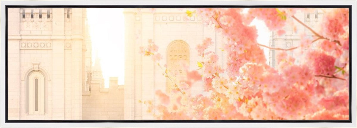 Salt Lake Blossom Glow Gallery Wrap