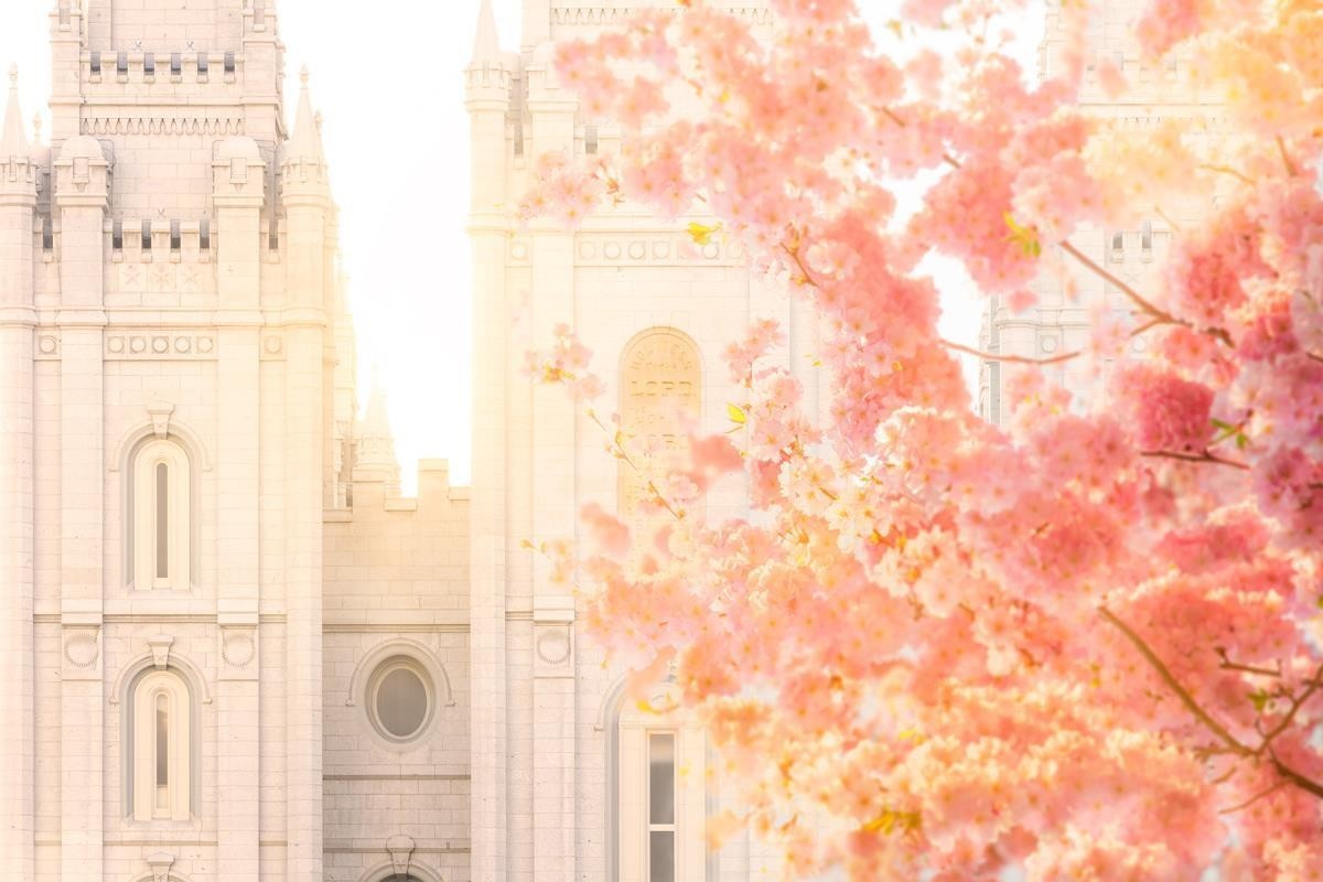 Salt Lake Blossom Glow Gallery Wrap