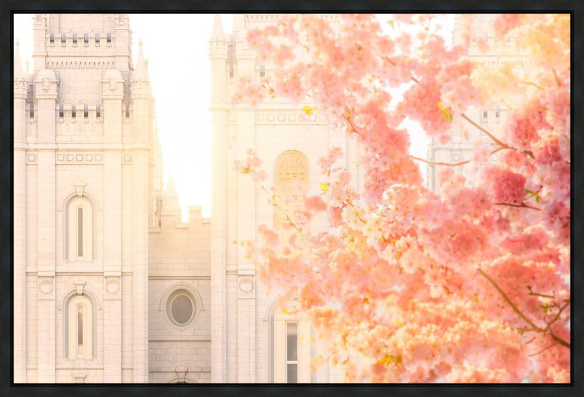 Salt Lake Blossom Glow Gallery Wrap