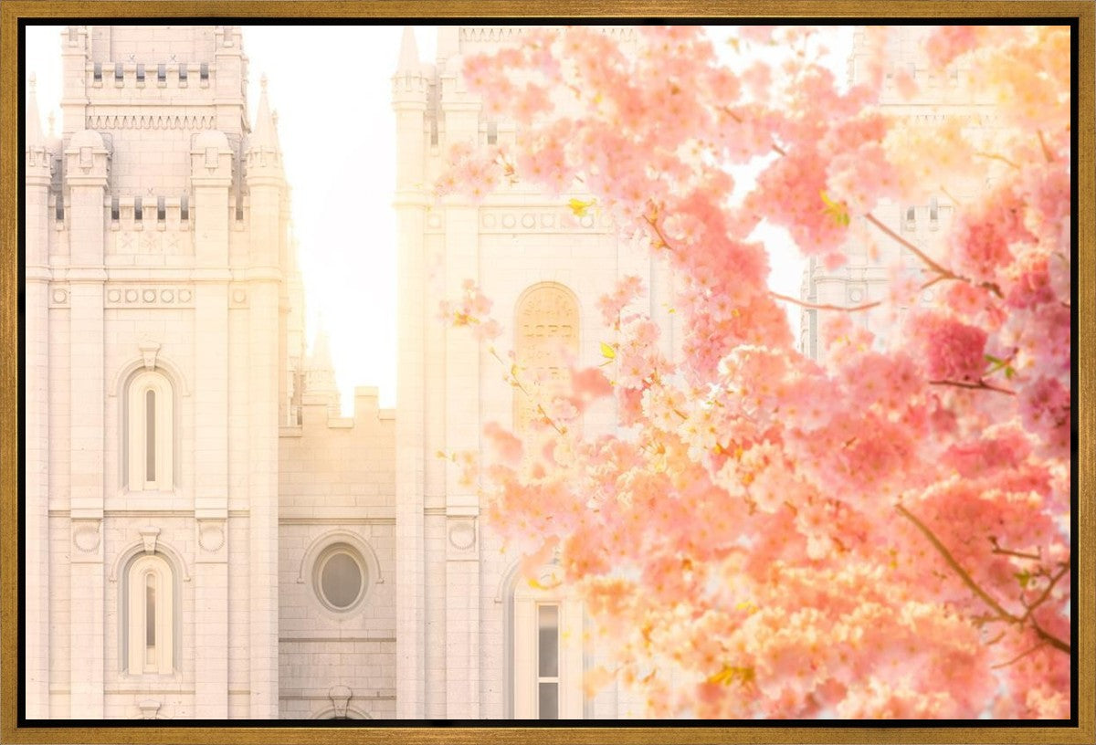 Salt Lake Blossom Glow Gallery Wrap