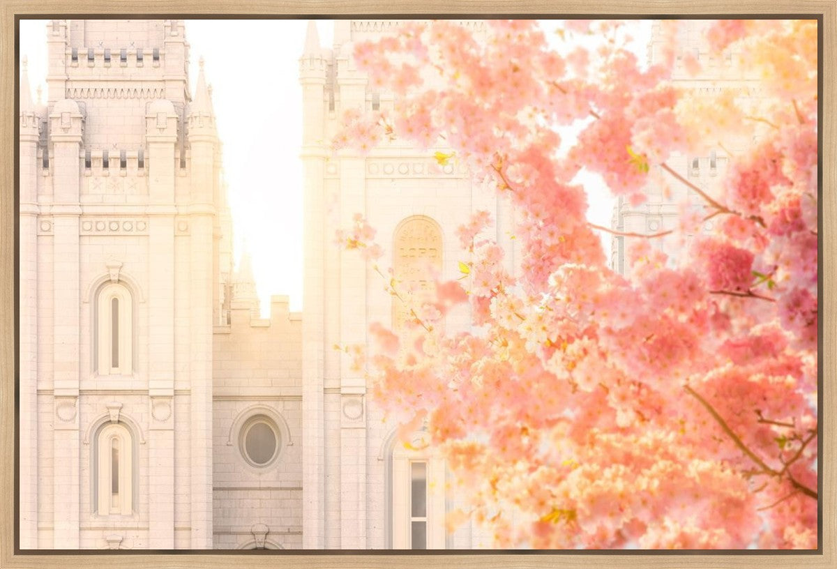 Salt Lake Blossom Glow Gallery Wrap