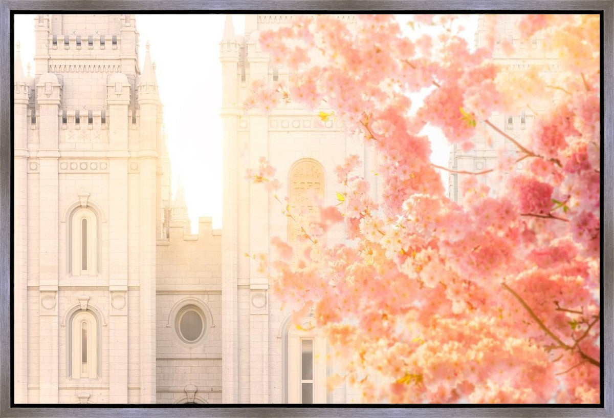 Salt Lake Blossom Glow Gallery Wrap