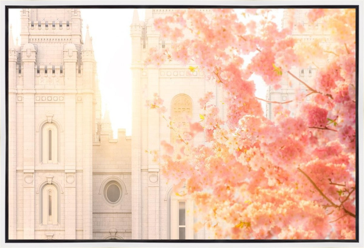 Salt Lake Blossom Glow Gallery Wrap