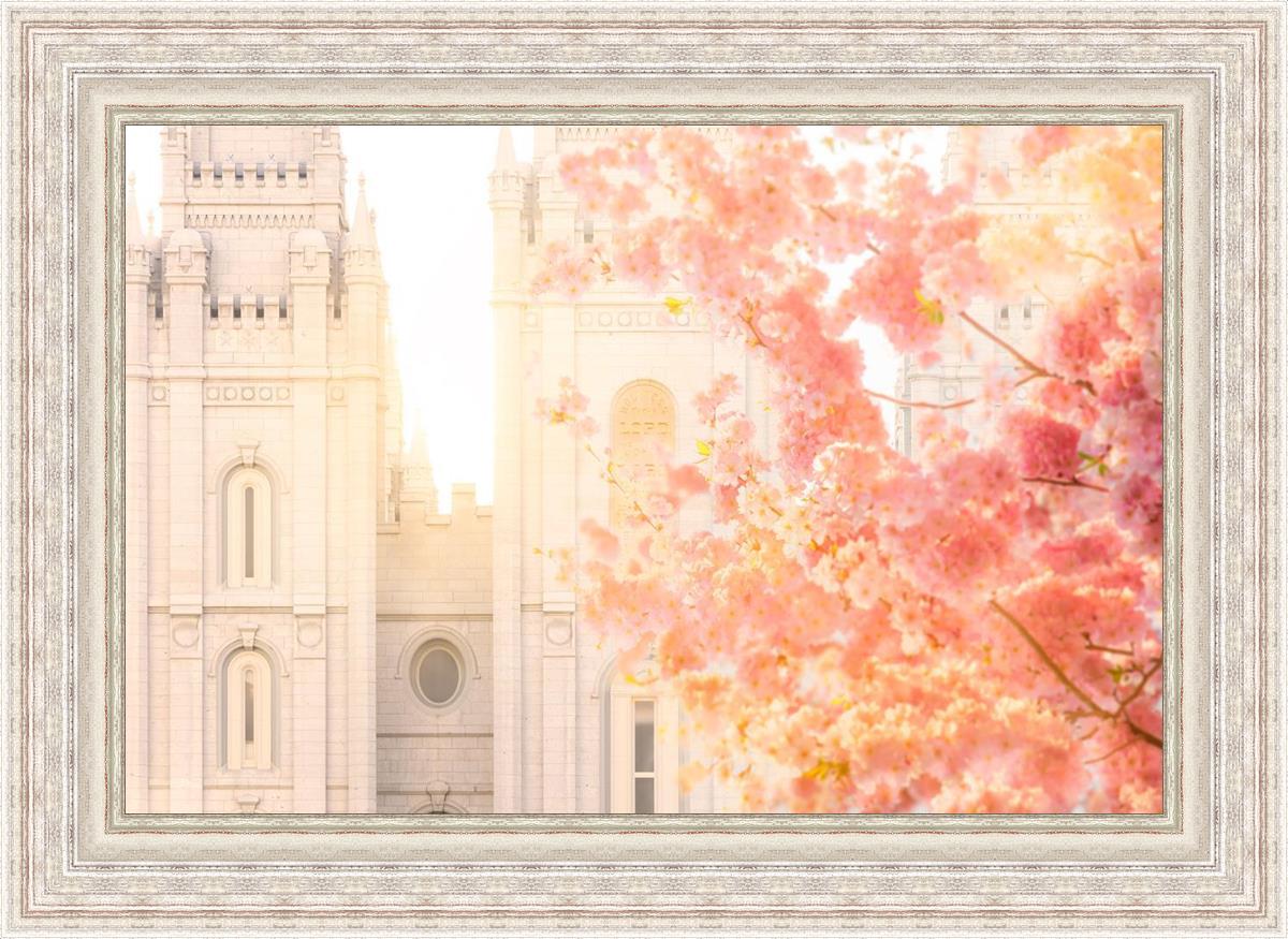 Salt Lake Blossom Glow