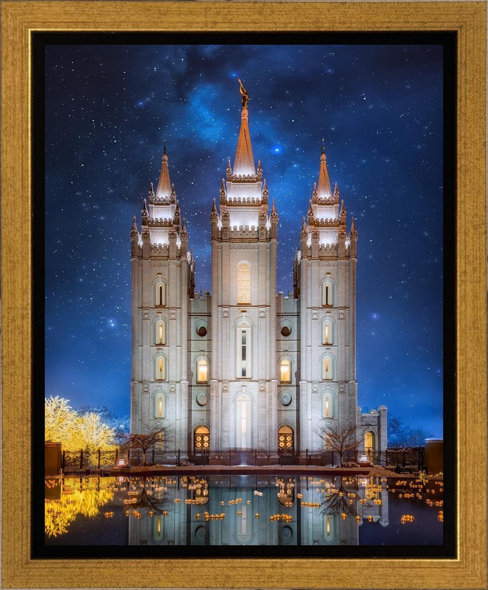 Salt Lake Starry Night Gallery Wrap