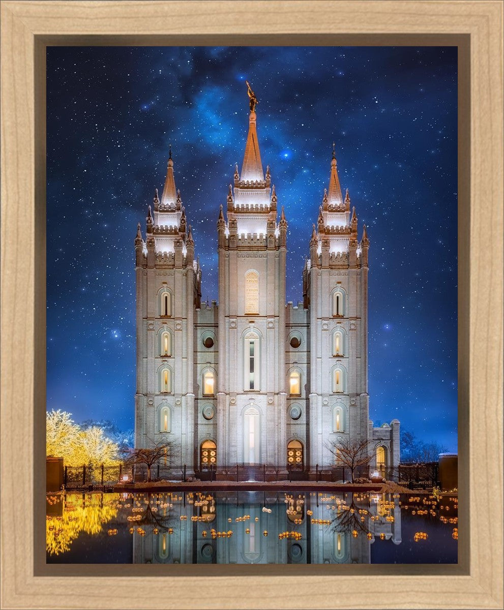 Salt Lake Starry Night Gallery Wrap