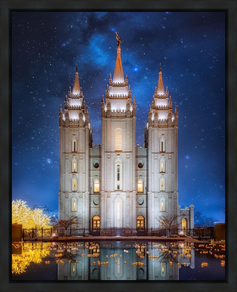 Salt Lake Starry Night Gallery Wrap