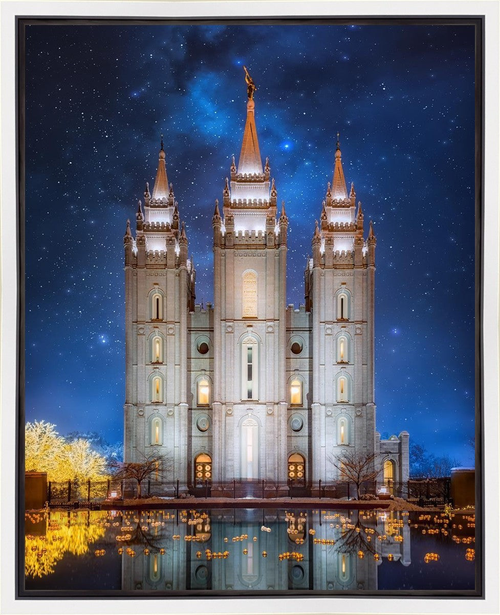 Salt Lake Starry Night Gallery Wrap