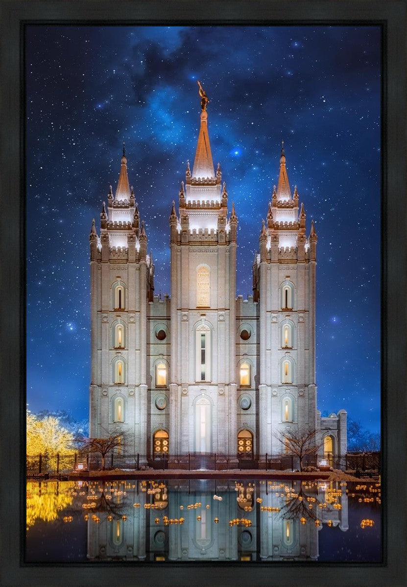 Salt Lake Starry Night Gallery Wrap