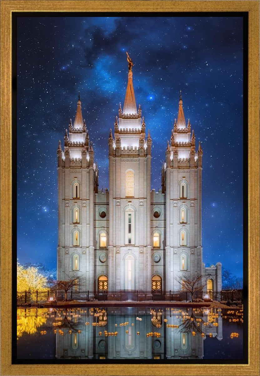 Salt Lake Starry Night Gallery Wrap