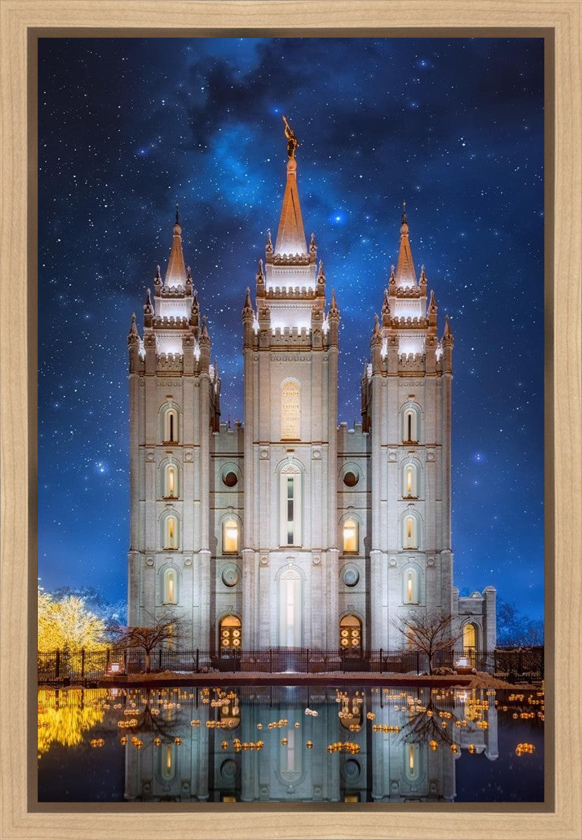 Salt Lake Starry Night Gallery Wrap
