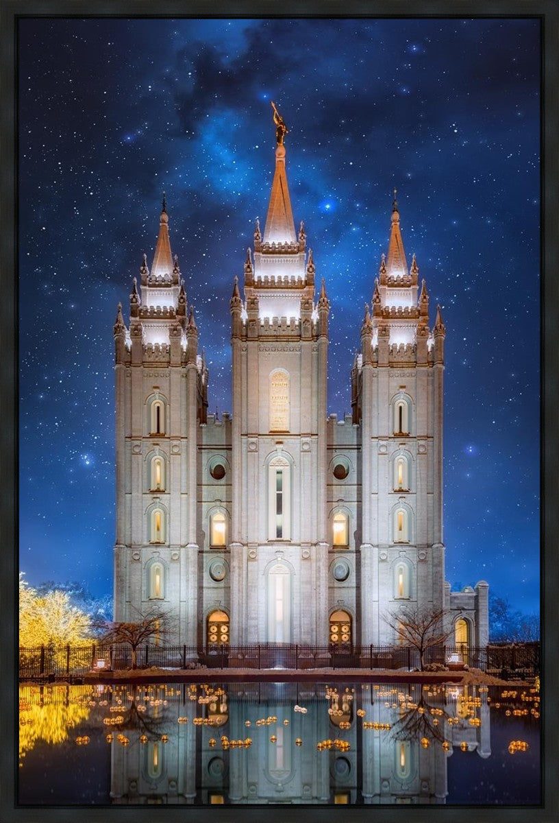 Salt Lake Starry Night Gallery Wrap