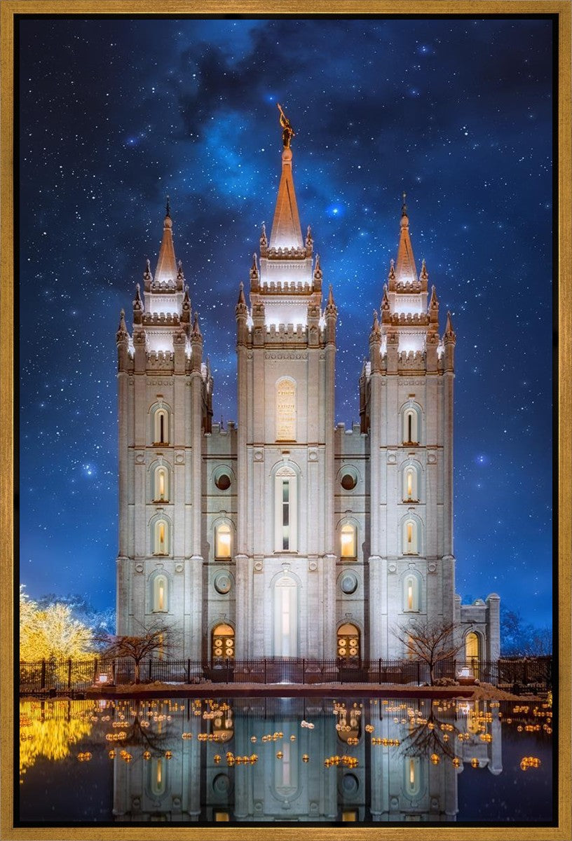 Salt Lake Starry Night Gallery Wrap