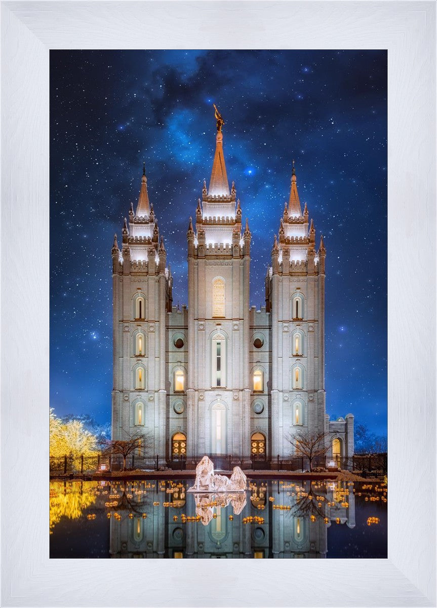 Salt Lake Starry Night Nativity
