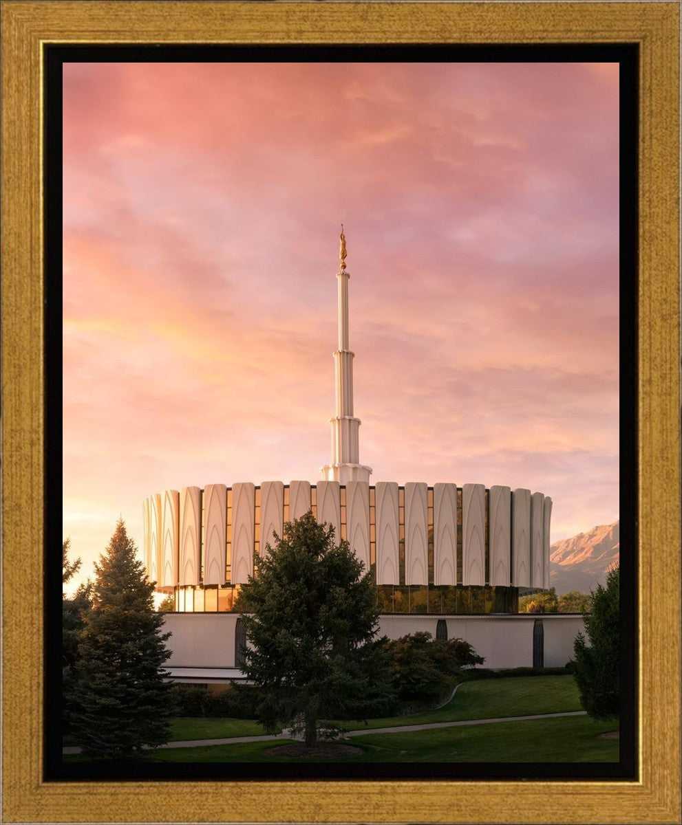 Provo I Stand all Amazed Gallery Wrap