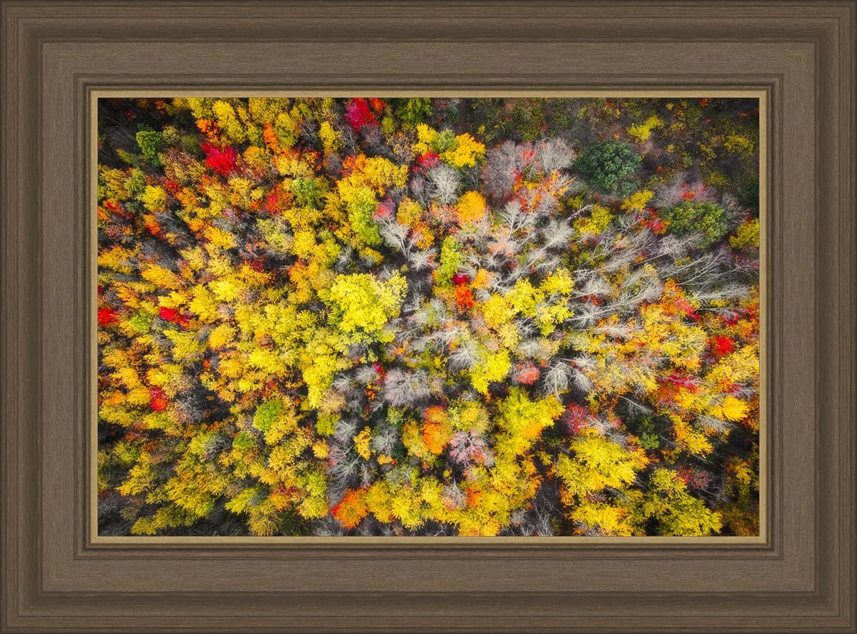 Sacred Grove Autumn From Heaven