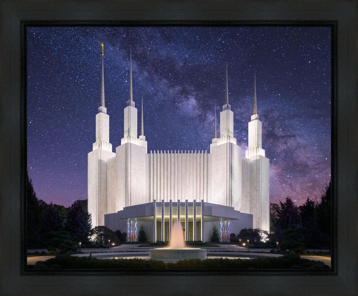 Washington DC Celestial