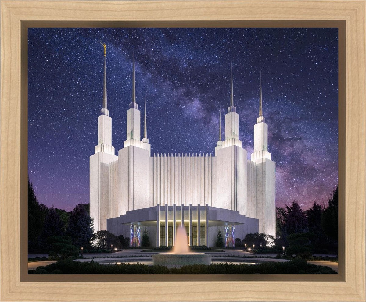 Washington DC Celestial