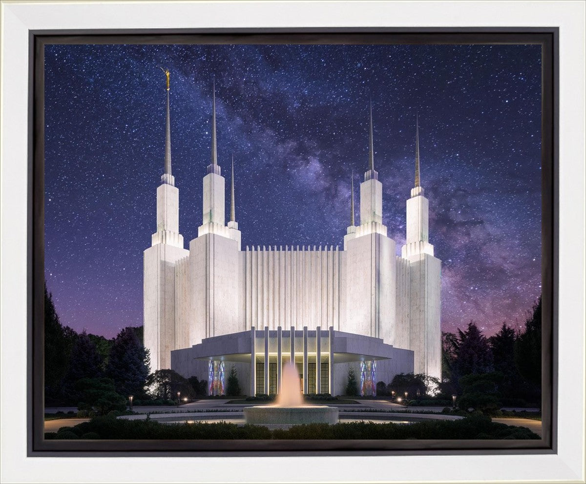 Washington DC Celestial