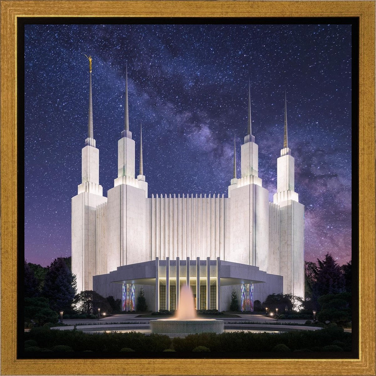 Washington DC Celestial