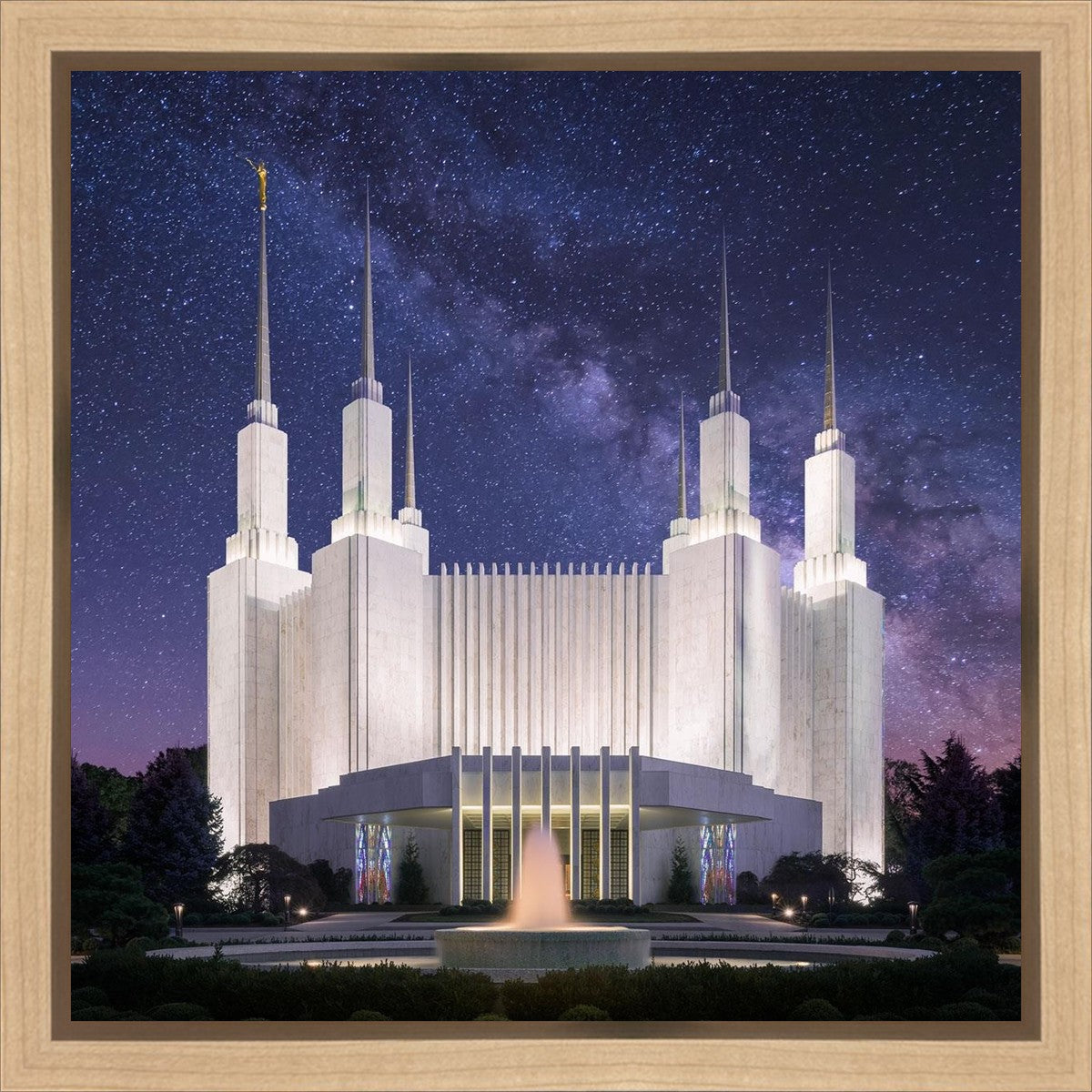 Washington DC Celestial