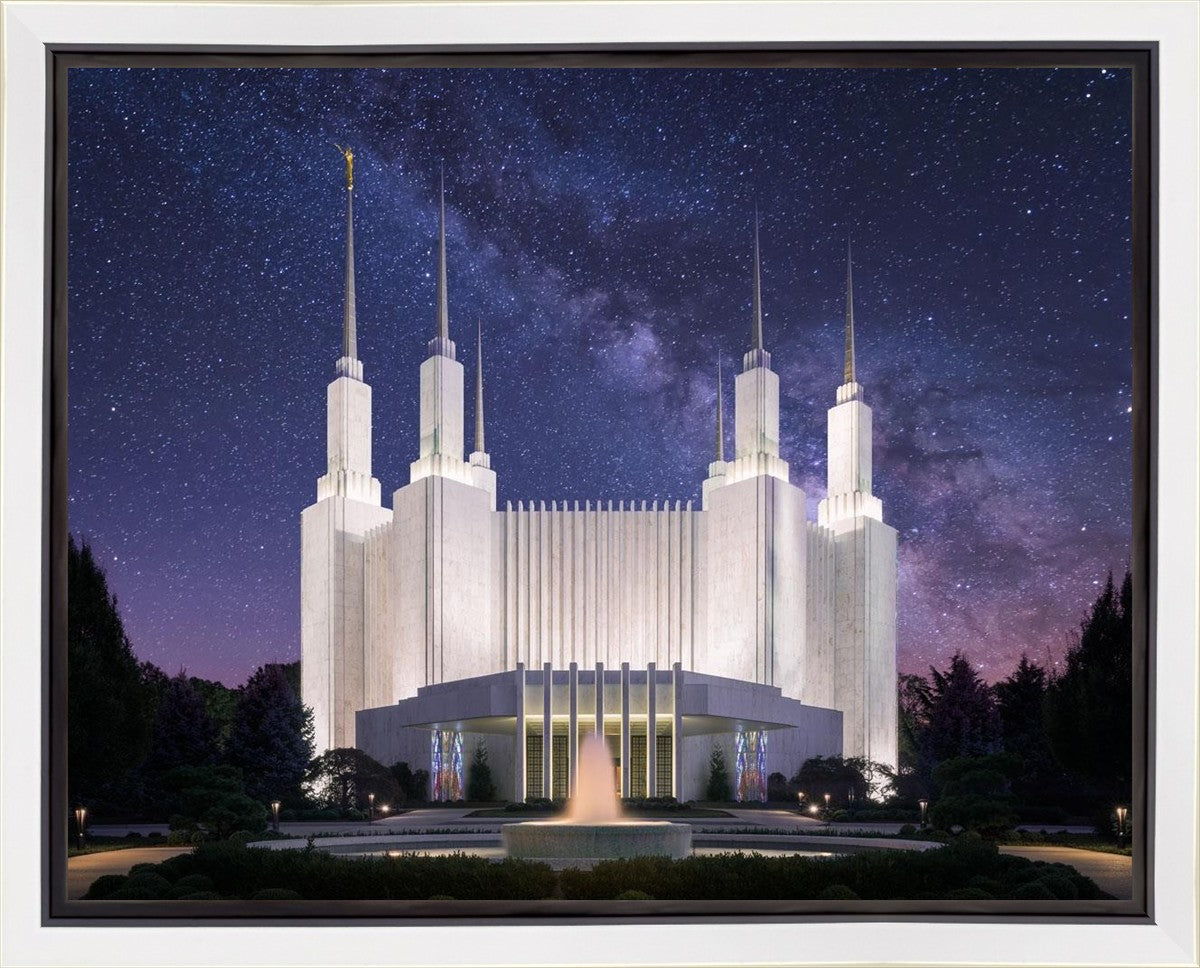 Washington DC Celestial