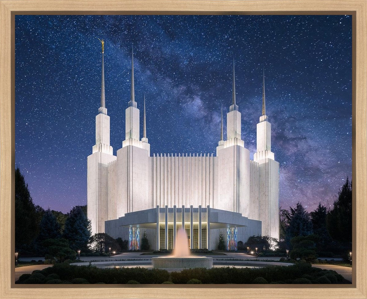 Washington DC Celestial