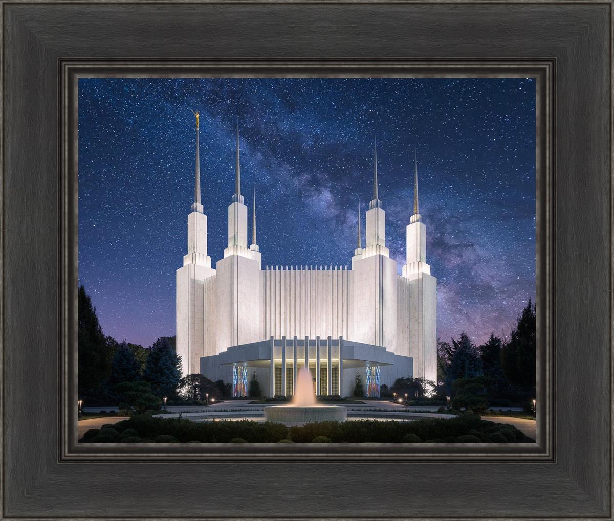 Washington DC Celestial