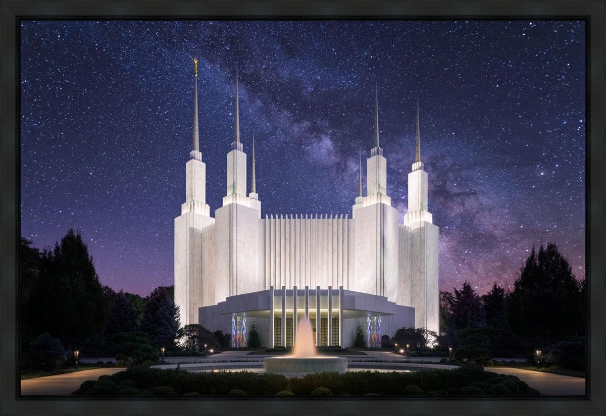 Washington DC Celestial