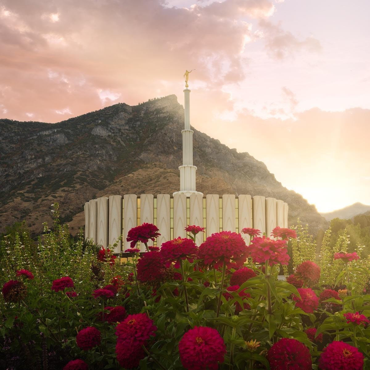 Provo Second Coming Gallery Wrap