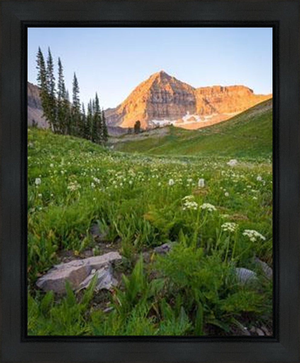 The Meadow Gallery Wrap