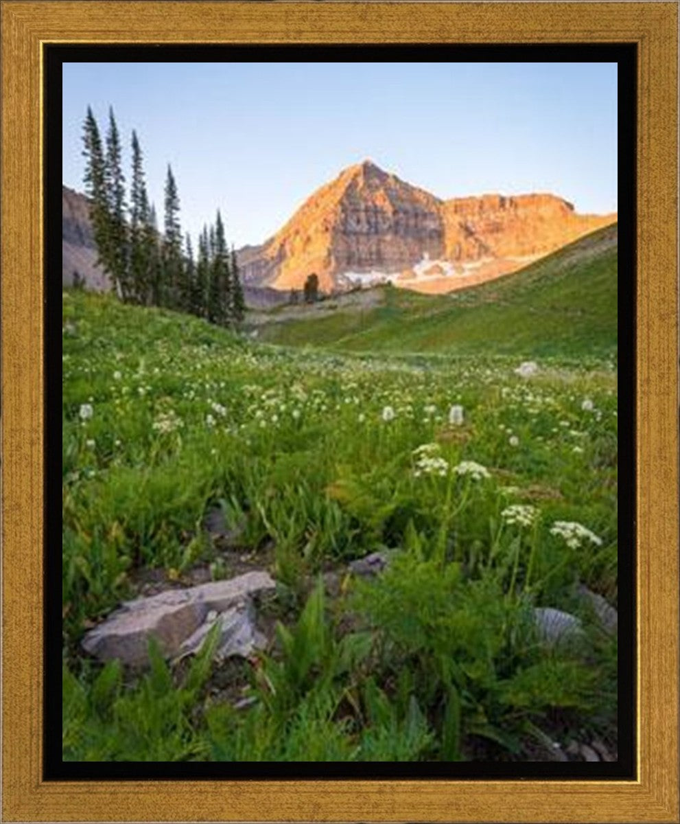 The Meadow Gallery Wrap