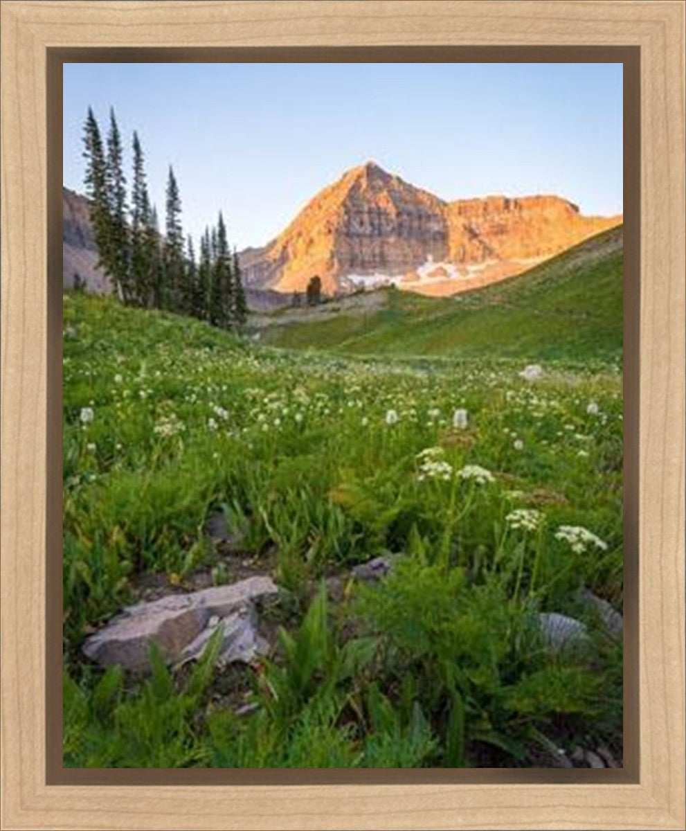 The Meadow Gallery Wrap