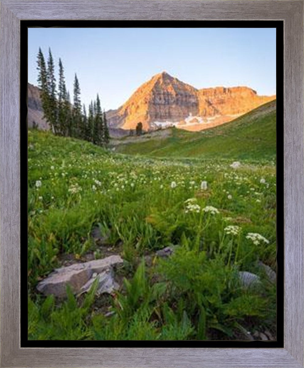 The Meadow Gallery Wrap